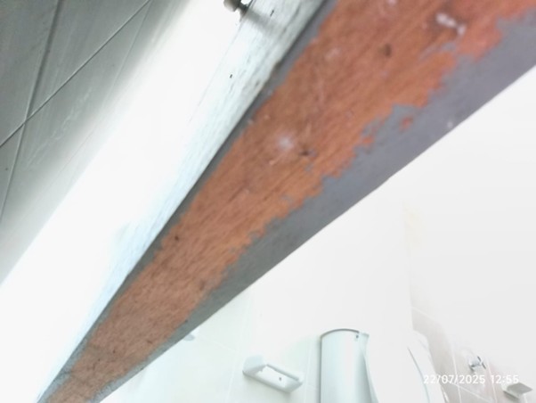 Poor Workmanship and Finishing Defects - Example 2